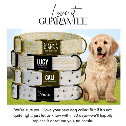 Personalized Dog Collar Busy Bees Design with Name Engraved Custom Name Tag Bees Dog Tag Adjustable Collar & Leash Set Gift for Dog (OG-217)