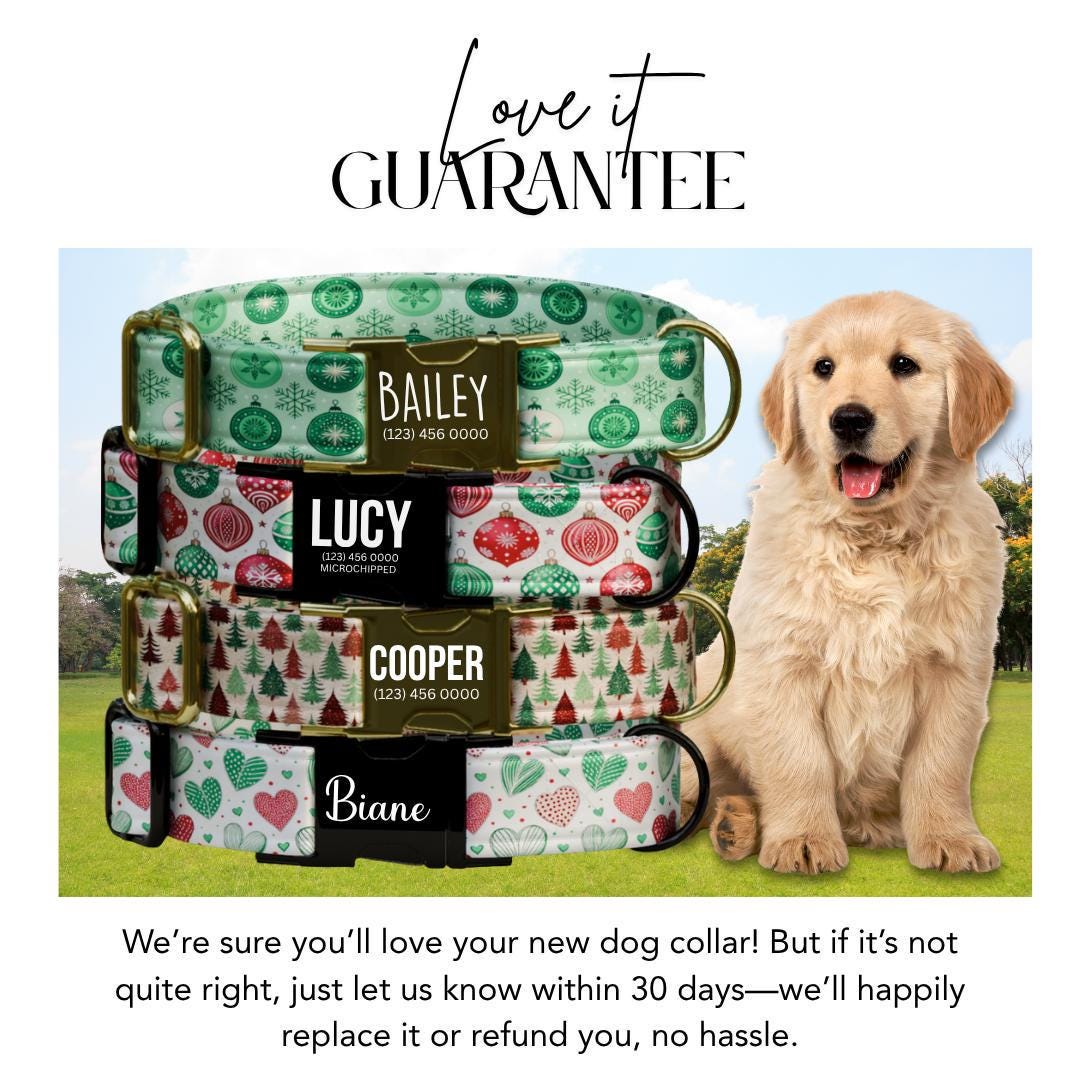 Personalized Christmas Dog Collar Custom Name Tag Festive Holiday Dog Collar with Metal Buckle & Adjustable Fit Christmas Dog Tag (OG-281)