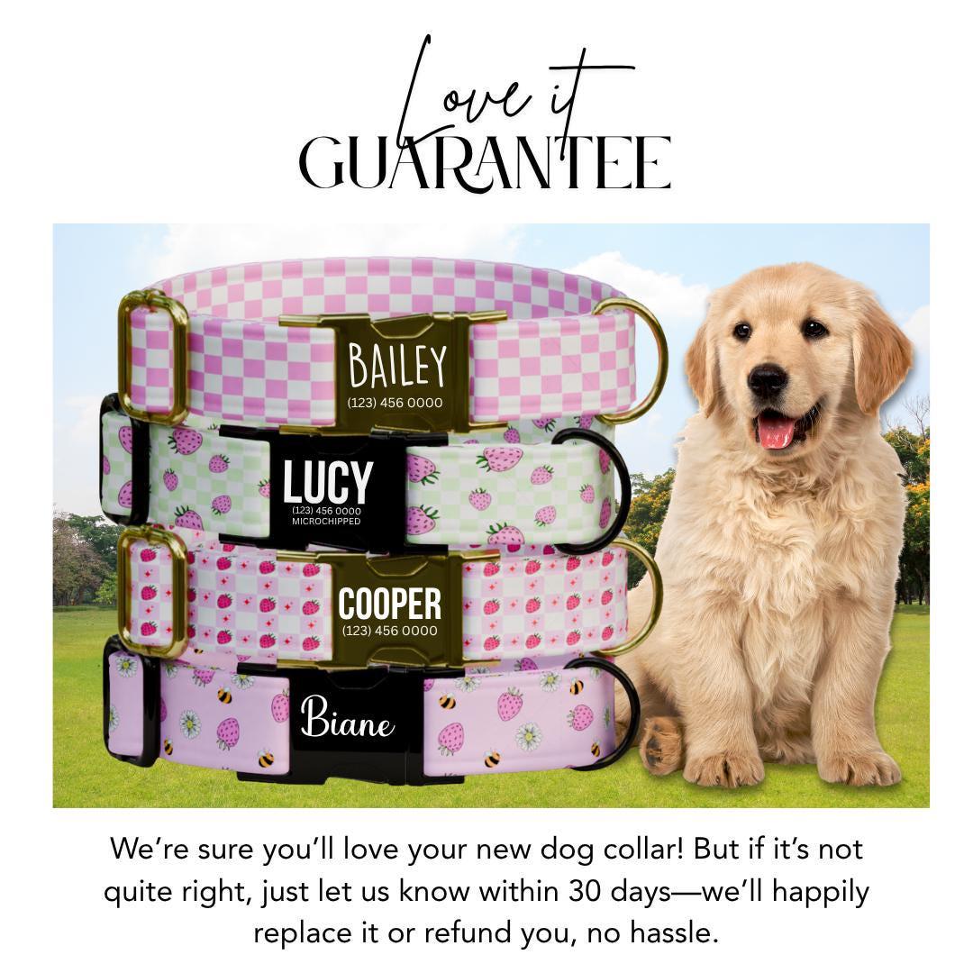 Personalized Strawberry Checkered Dog Collar with Name Engraved Custom Pet Name ID Collar for Dog Collar & Leash Set Pink Dog Gift (OG-191)