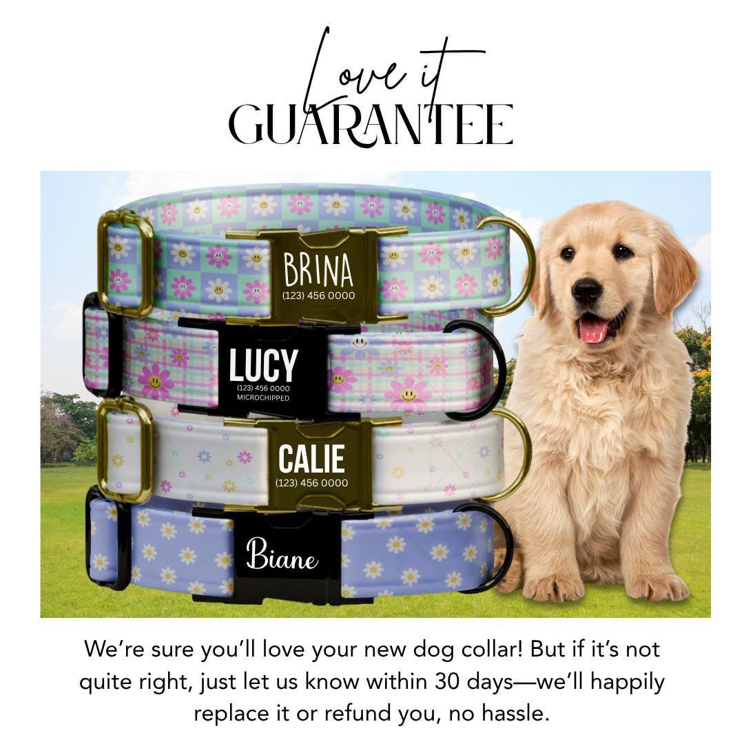 Personalized Pastel Floral Dog Collar for Girls with Name Engraved Cute Flower Name ID Adjustable Collar & Leash Set Gift for Dog (OG-263)