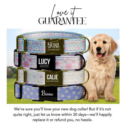 Personalized Pastel Floral Dog Collar for Girls with Name Engraved Cute Flower Name ID Adjustable Collar & Leash Set Gift for Dog (OG-263)