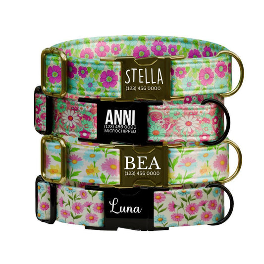 Personalized Floral Dog Collar for Girls with Name Engraved Cute Bright Flower Name ID Adjustable Collar & Leash Set Gift for Dog (OG-261)
