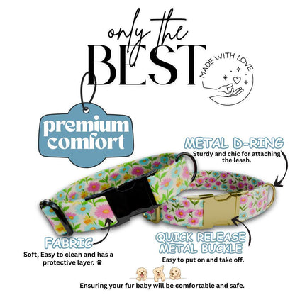 Personalized Floral Dog Collar for Girls with Name Engraved Cute Bright Flower Name ID Adjustable Collar & Leash Set Gift for Dog (OG-261)