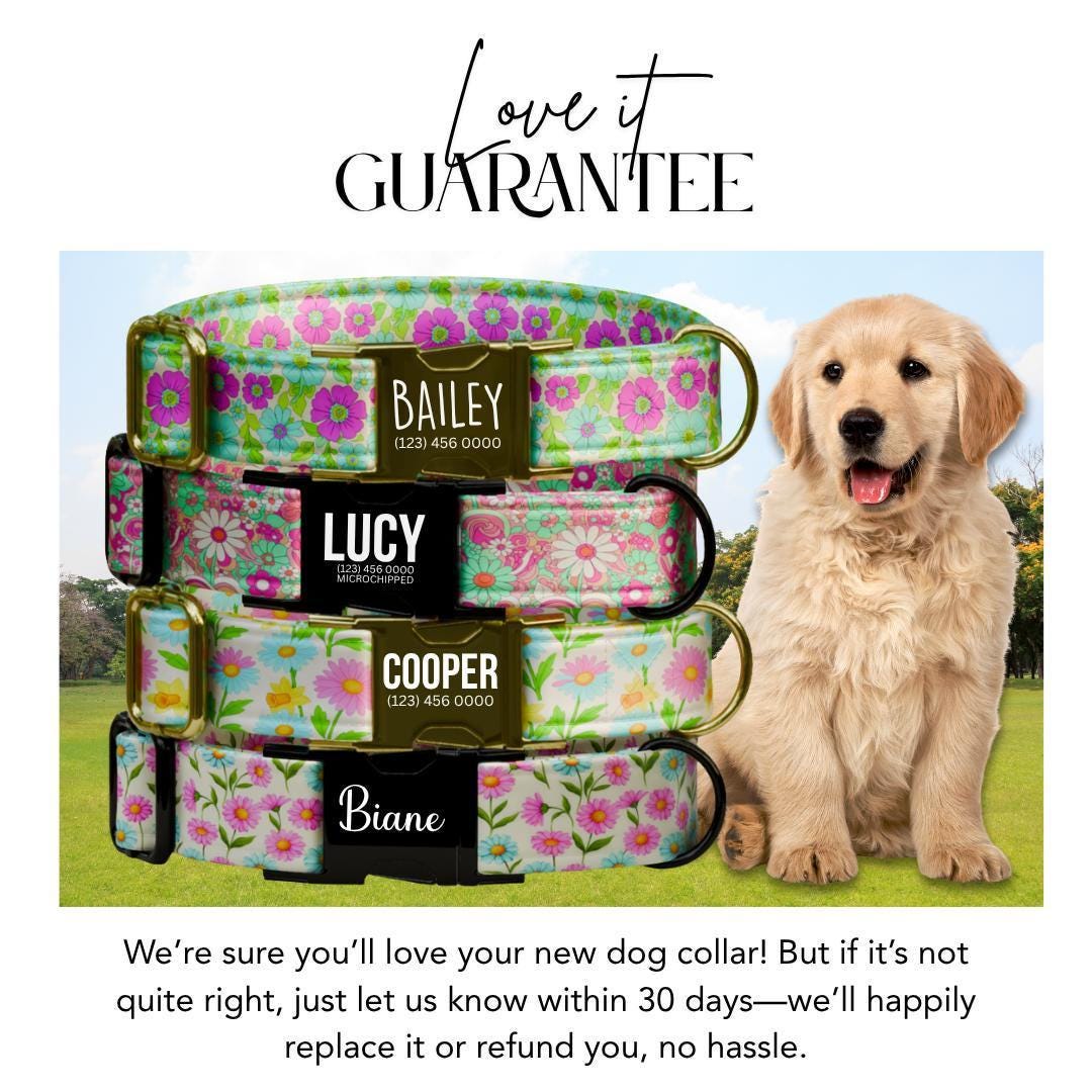 Personalized Floral Dog Collar for Girls with Name Engraved Cute Bright Flower Name ID Adjustable Collar & Leash Set Gift for Dog (OG-261)