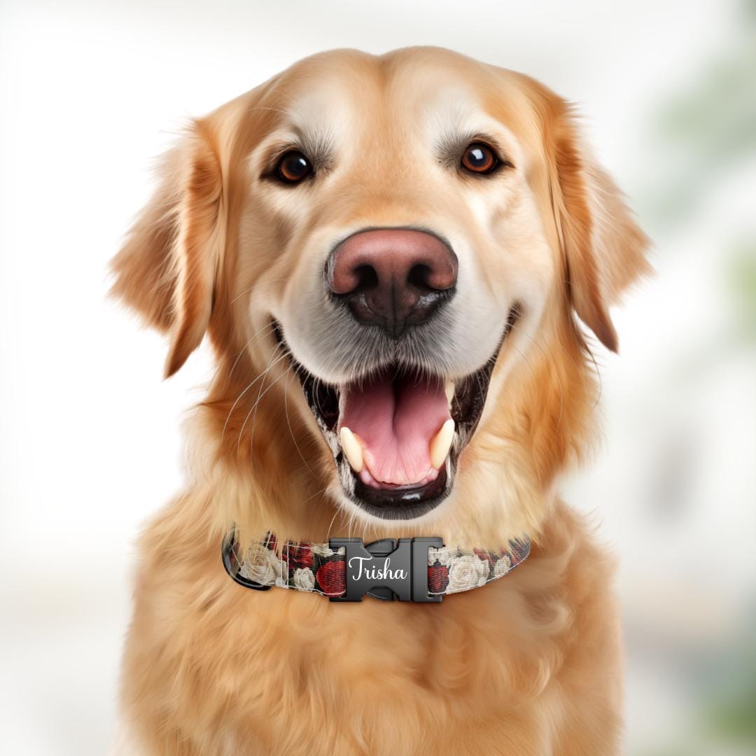 Personalized Rose Dog Collar for Girls with Name Engraved Cute Elegant Floral Print Tag Collar Dogs Adjustable Collar & Leash Set (OG-274)