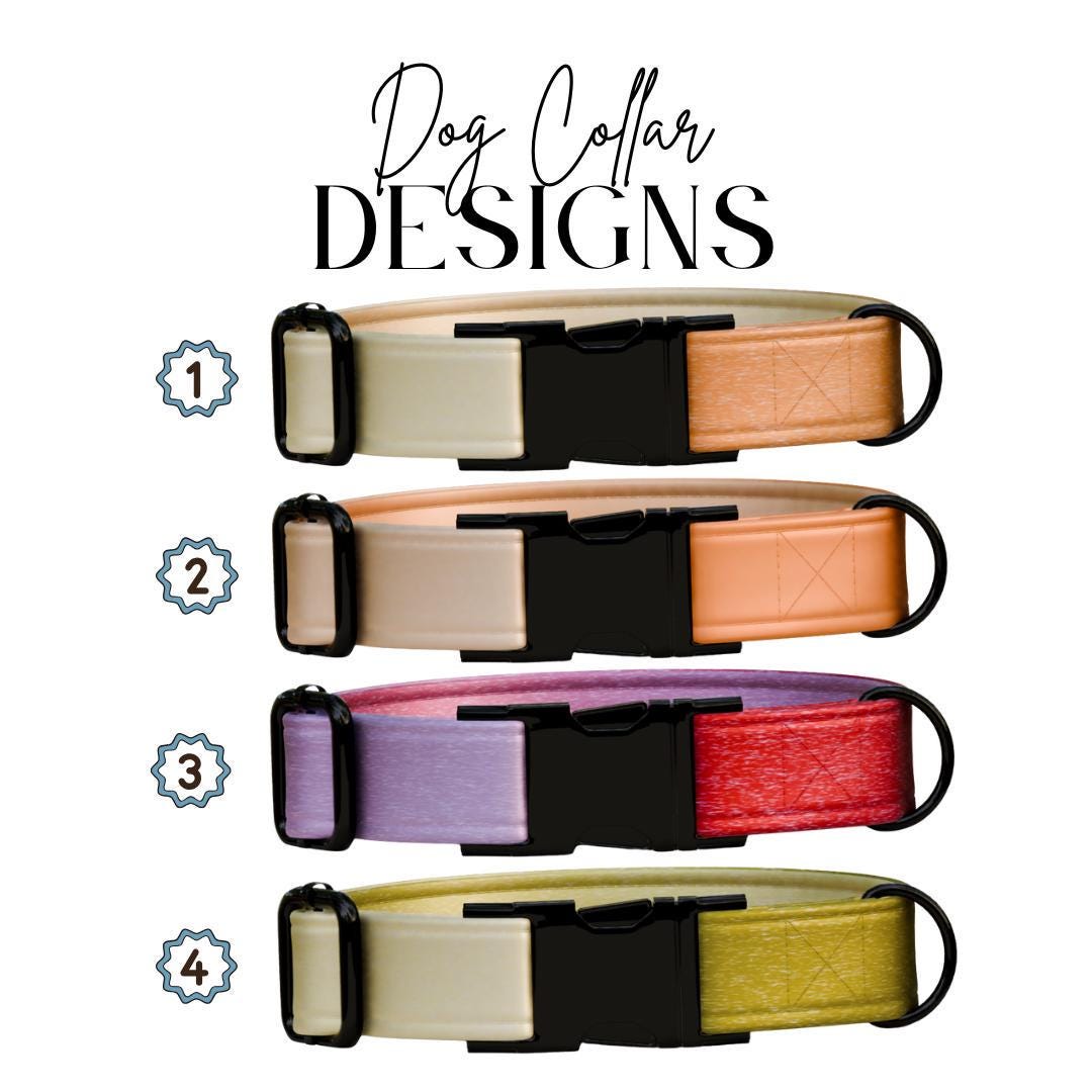 Personalized Ombre Dog Collar with Name Engraved Cute Trendy Ombre Design Tag Collar Dogs Gradient Adjustable Collar & Leash Set (OG-298)