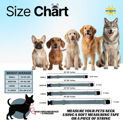 Personalized Ombre Dog Collar with Name Engraved Cute Trendy Ombre Design Tag Collar Dogs Gradient Adjustable Collar & Leash Set (OG-298)