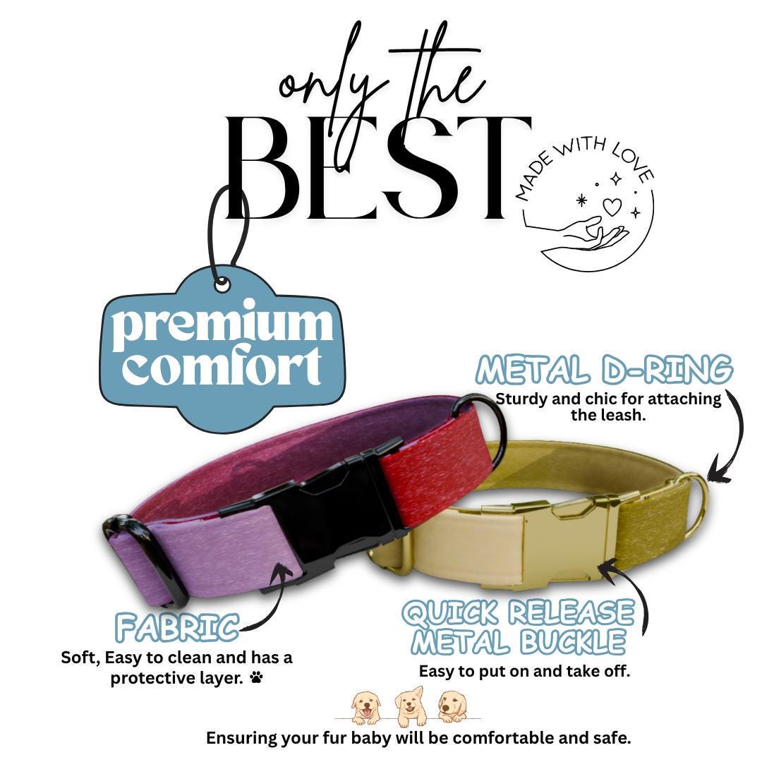 Personalized Ombre Dog Collar with Name Engraved Cute Trendy Ombre Design Tag Collar Dogs Gradient Adjustable Collar & Leash Set (OG-298)