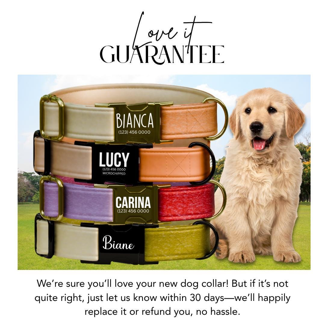 Personalized Ombre Dog Collar with Name Engraved Cute Trendy Ombre Design Tag Collar Dogs Gradient Adjustable Collar & Leash Set (OG-298)