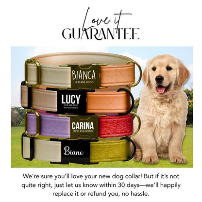 Personalized Ombre Dog Collar with Name Engraved Cute Trendy Ombre Design Tag Collar Dogs Gradient Adjustable Collar & Leash Set (OG-298)