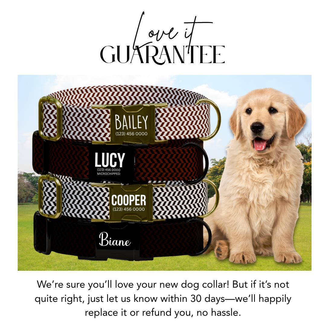 Personalized Herringbone Dog Collar with Name Engraved Custom Pet Name ID Collar Secure Collar & Leash Set Dog Name Tag Gift Idea (OG-185)