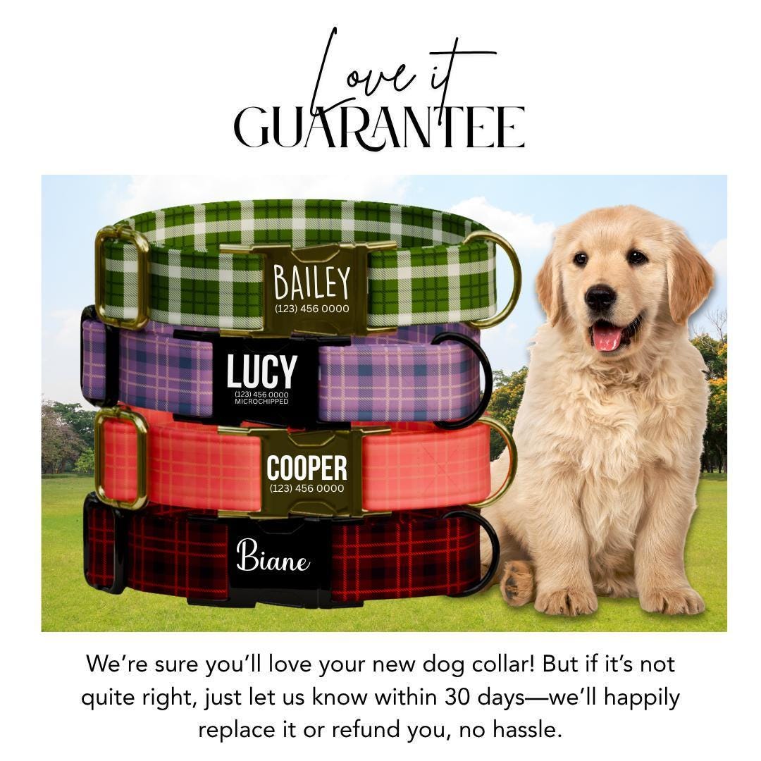 Personalized Gingham Dog Collar with Name Engraved Custom Tag Collar for Pets Collar & Leash Set Stylish Checkered Dog Collar Gift (OG-172)