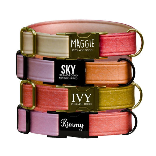 Personalized Ombre Dog Collar with Custom Name Tag Gradient Pet Collar with Quick-Release Adjustable Metal Buckle Gift for Dogs (OG-299)