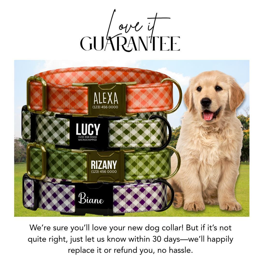 Personalized Gingham Dog Collar with Name Engraved Custom Tag Collar for Pets Collar & Leash Set Stylish Gingham Dog Collar Gift (OG-295)