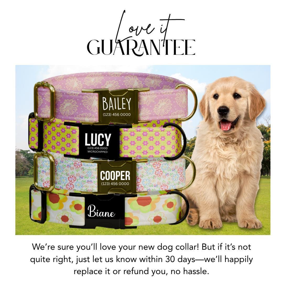 Personalized Floral Dog Collar with Name Engraved Cute and Soft Floral Adjustable Collar & Leash Set Stylish Flower Print Dog Gift (OG-194)