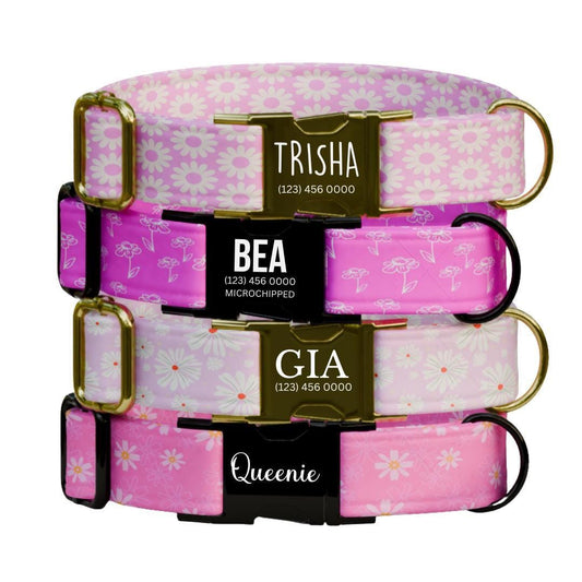 Personalized Pink Floral Dog Collar with Name Engraved Cute and Soft Floral Adjustable Collar & Leash Set Stylish Flower Dog Gift (OG-193)