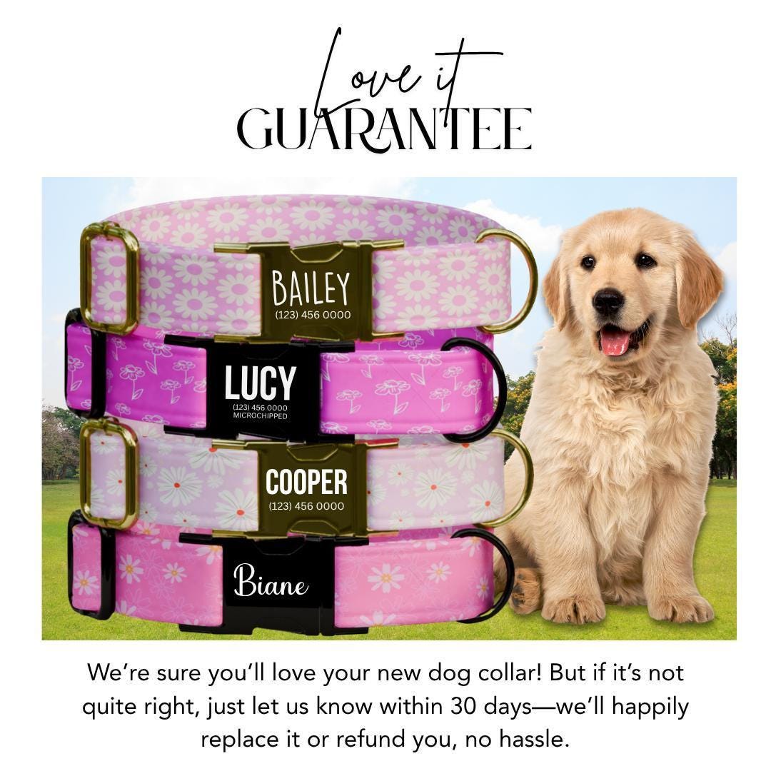 Personalized Pink Floral Dog Collar with Name Engraved Cute and Soft Floral Adjustable Collar & Leash Set Stylish Flower Dog Gift (OG-193)