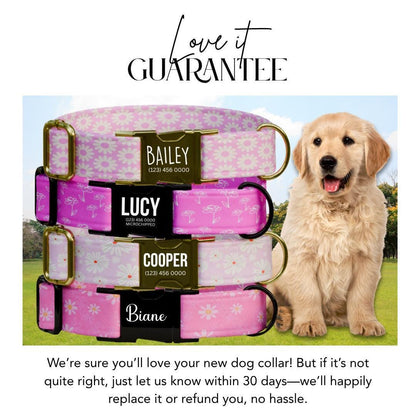 Personalized Pink Floral Dog Collar with Name Engraved Cute and Soft Floral Adjustable Collar & Leash Set Stylish Flower Dog Gift (OG-193)