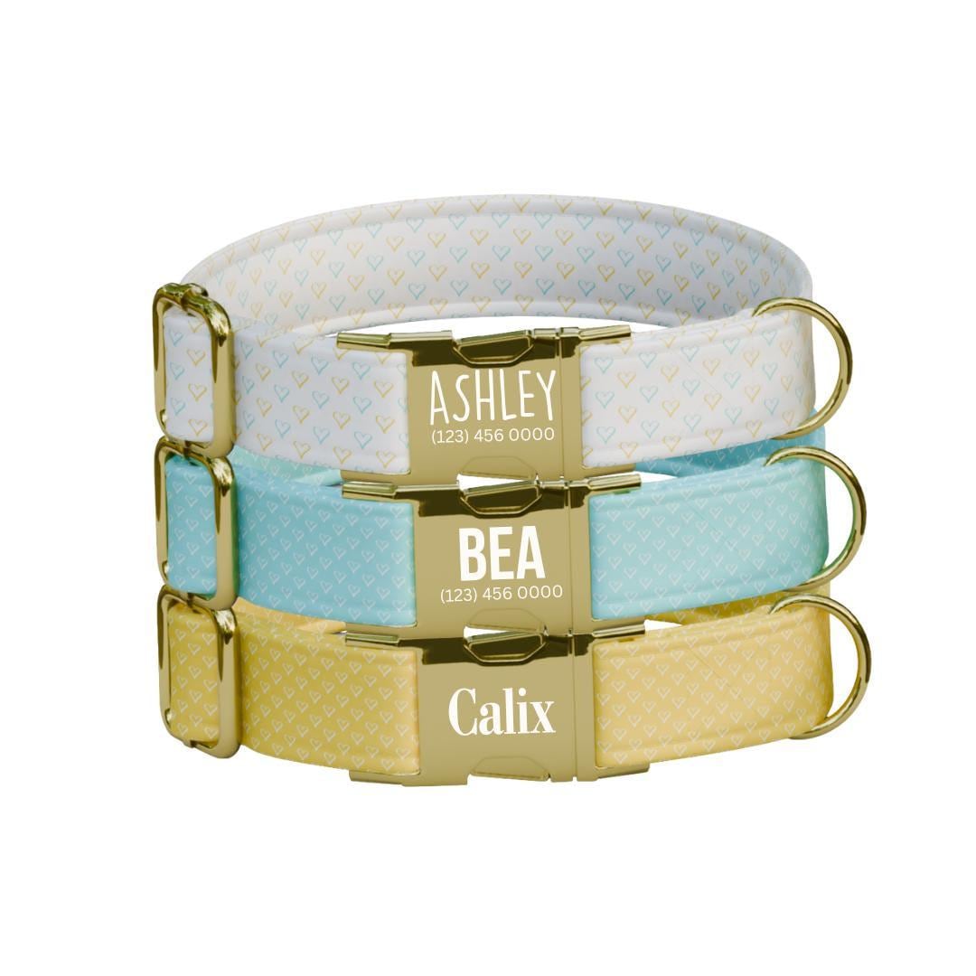 Personalized Heart Dog Collar with Name Engraved Cute and Soft Adjustable Collar & Leash Set Black Gold Buckle Handmade Dog Gift (OG-151)