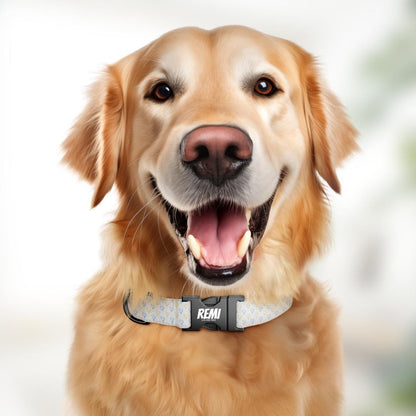 Personalized Heart Dog Collar with Name Engraved Cute and Soft Adjustable Collar & Leash Set Black Gold Buckle Handmade Dog Gift (OG-151)