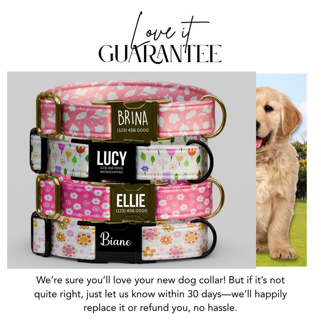 Personalized Floral Dog Collar for Girls with Name Engraved Cute Stylish Flower Print Tag Collar Dogs Adjustable Collar & Leash Set (OG-297)