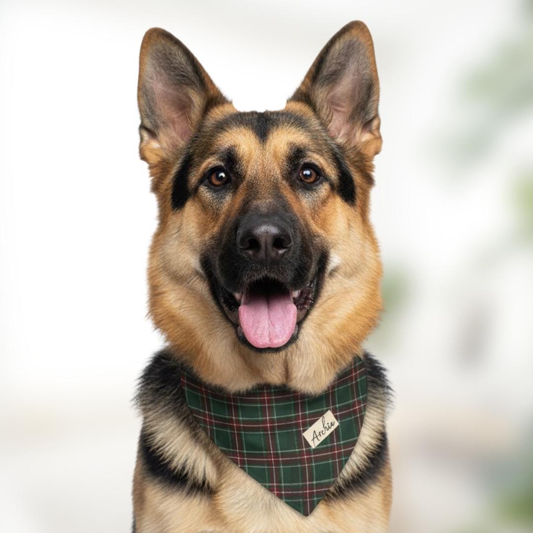 Personalized Red Green Plaid Pet Bandana Built-In Collar Custom Dog & Cat Name Bandana Cozy Tartan Check Style for Pets Great for Christmas