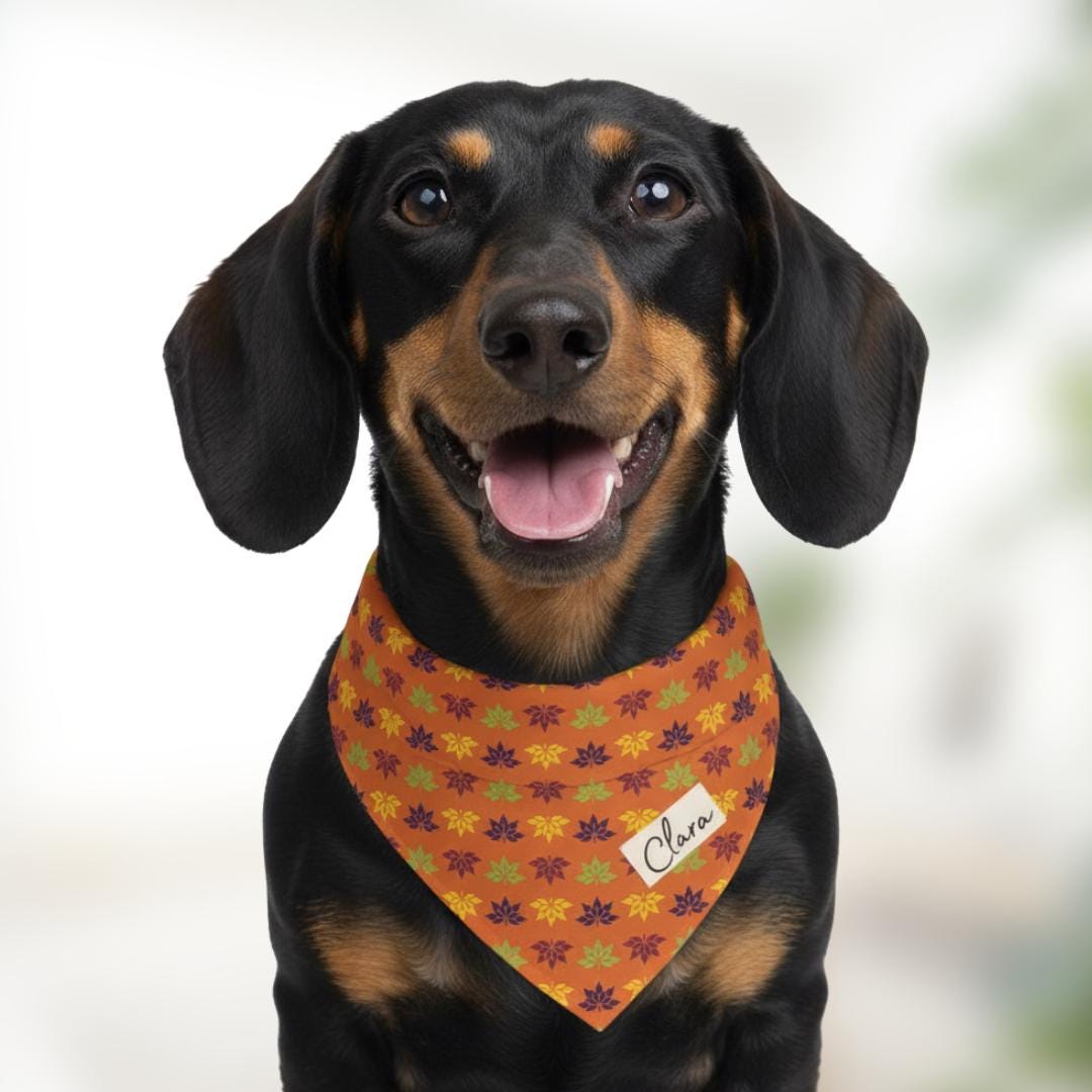 Personalized Autumn and Thanksgiving Pet Bandana with Built-In Collar Custom Dog and Cat Bandana Fall Pet Accessory, Adjustable & Comfy