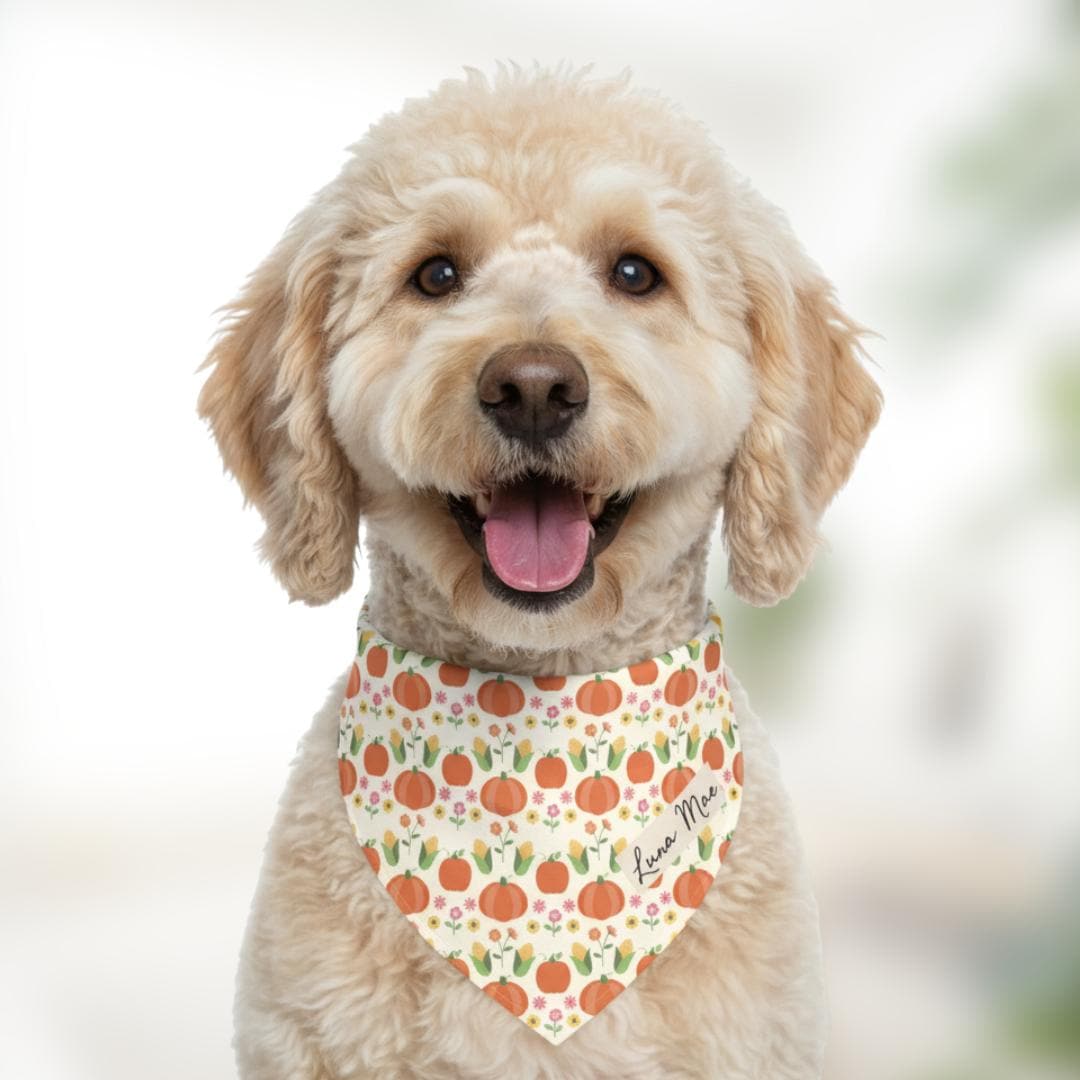 Pumpkin Patch Pet Bandana with Built-In Collar Personalized Dog and Cat Bandana Fall Thanksgiving Pet Accessory, Adjustable & Adorable Gift