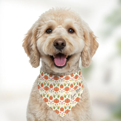 Pumpkin Patch Pet Bandana with Built-In Collar Personalized Dog and Cat Bandana Fall Thanksgiving Pet Accessory, Adjustable & Adorable Gift