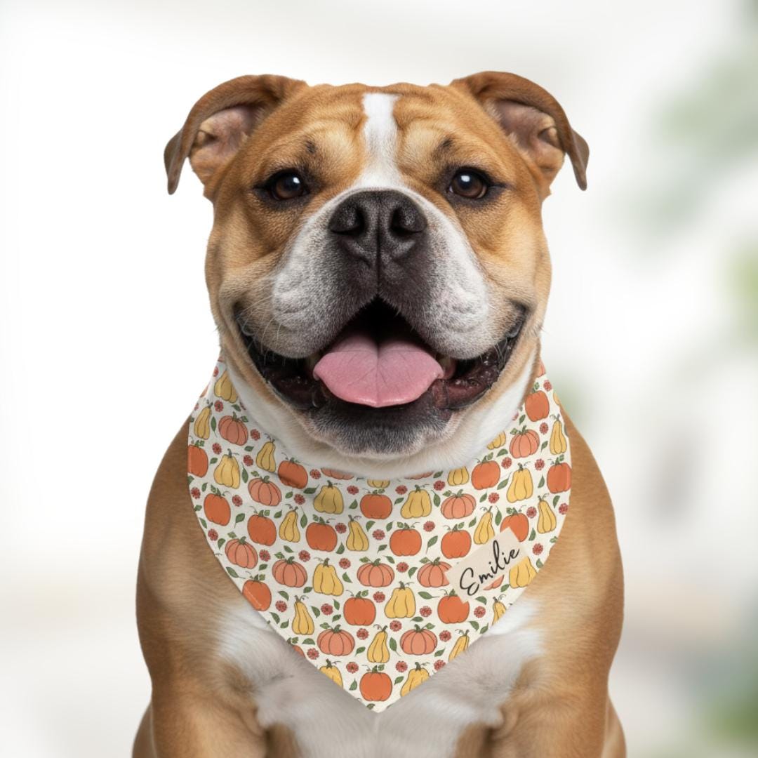 Pumpkin Harvest Pet Bandana with Built-In Collar Personalized Dog Cat Bandana Fall & Thanksgiving Pet Accessory Adjustable Pet Bandana Gift