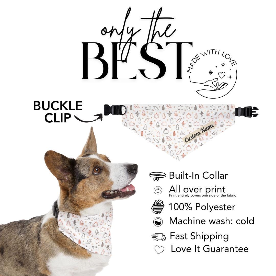 Personalized Fall Harvest Pet Bandana Built-In Collar Custom Dog & Cat Thanksgiving Bandana Adjustable Collar with Name Autumn Pet Accessory