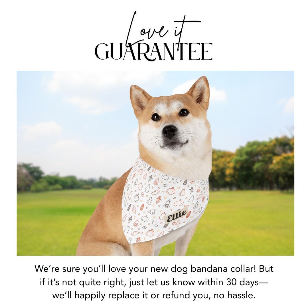 Personalized Fall Harvest Pet Bandana Built-In Collar Custom Dog & Cat Thanksgiving Bandana Adjustable Collar with Name Autumn Pet Accessory