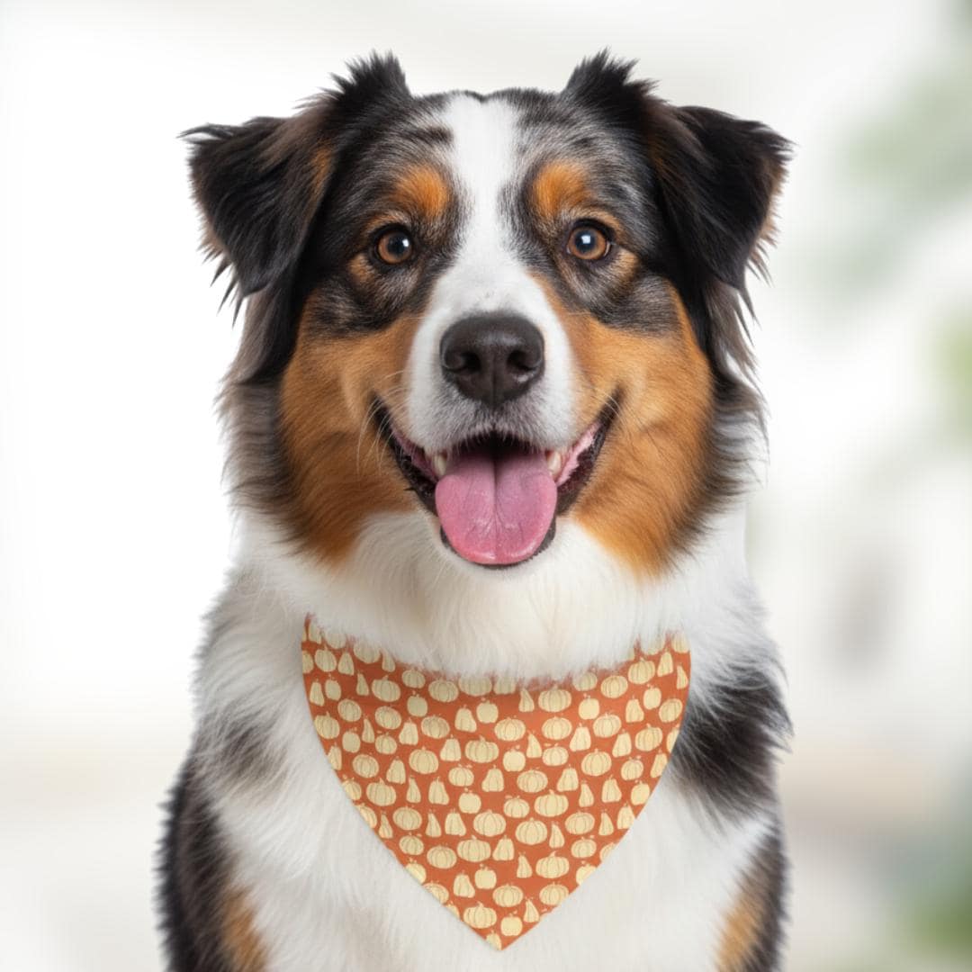 Pet Bandana Collar - Personalized Pumpkin Dog Cat Bandana, Fall Pet Accessory, Adjustable Collar | Cute Autumn Gift, Custom Name Pet Gift